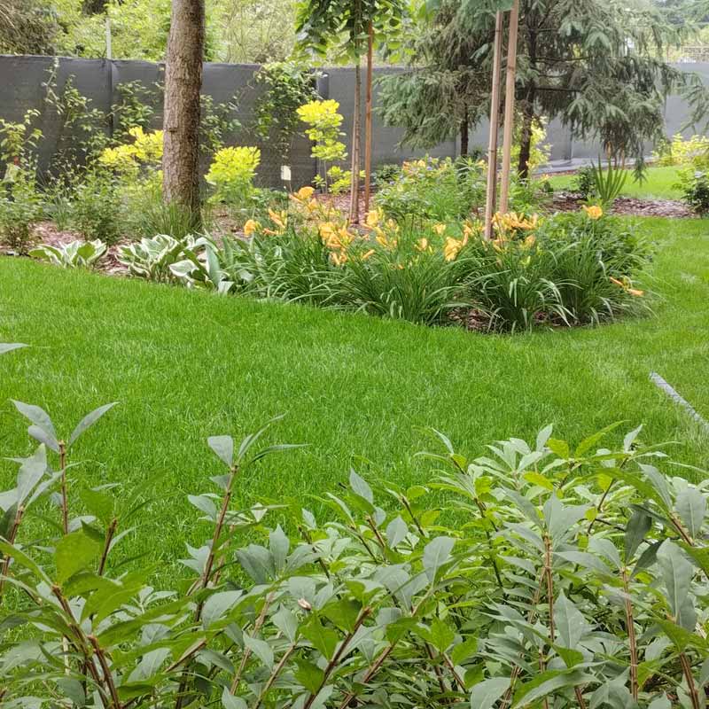 Zakładanie i pielęgnacja ogrodów